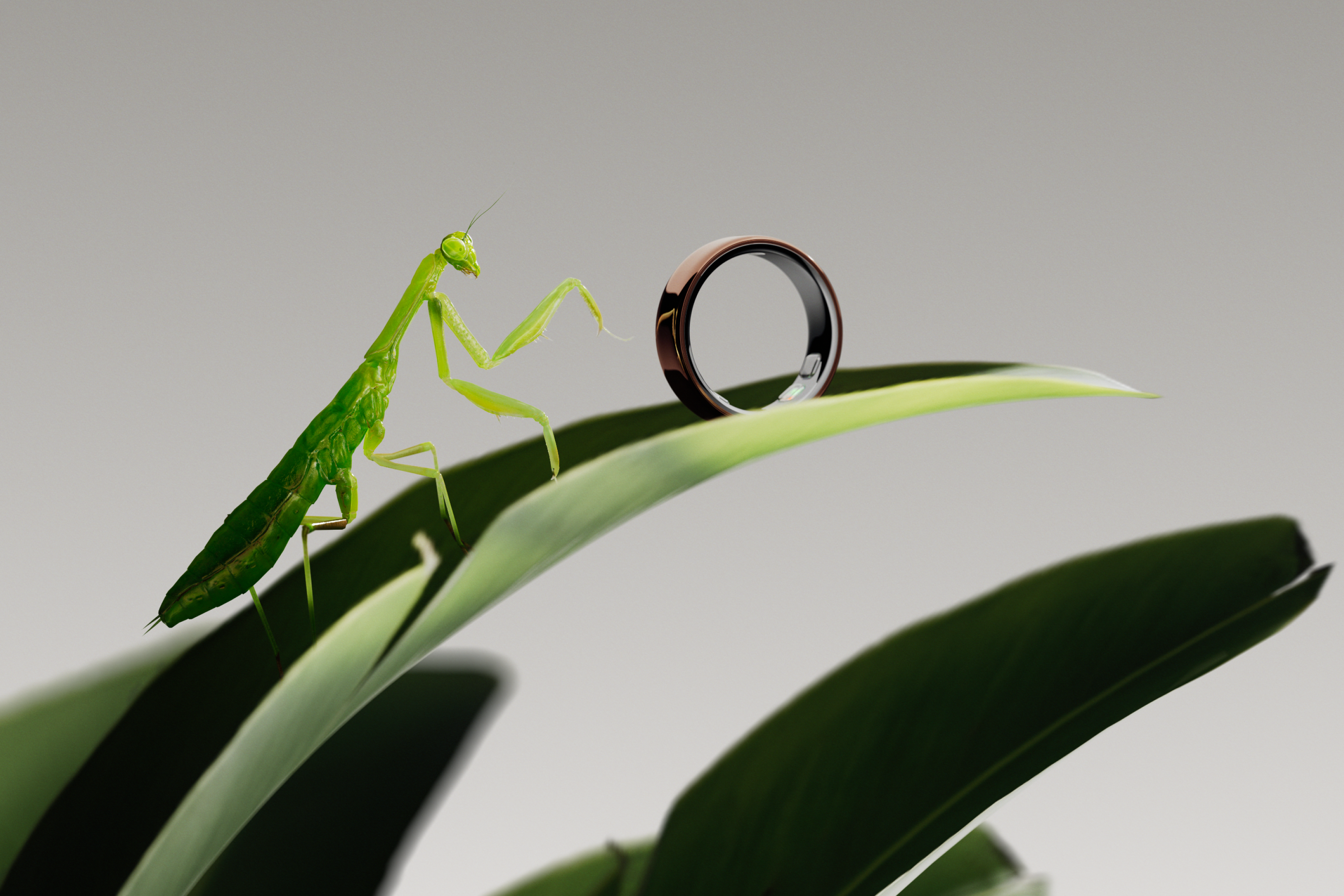 Oura Ring smart ring representing the Oura IPO, $2.2 billion Nasdaq offering, Oura valuation, wearable technology growth and the company’s public listing plans